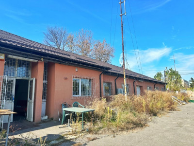 Proprietate industriala(teren + constructii)zona Pitesti/Arpechim 