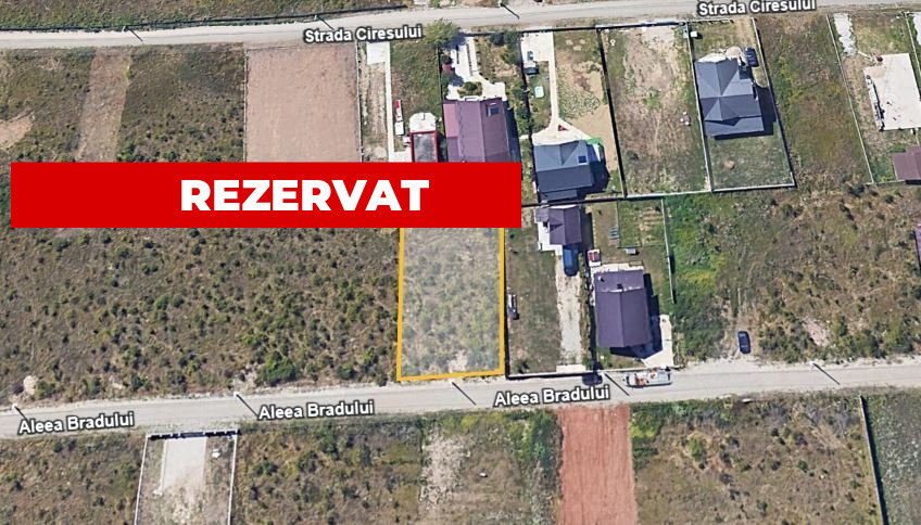 Teren Trivale - Aleea Bradului - Zona excelenta