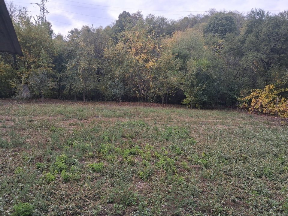 Casă tradițională cu teren generos – Borosteni, Peștișani, jud. Gorj