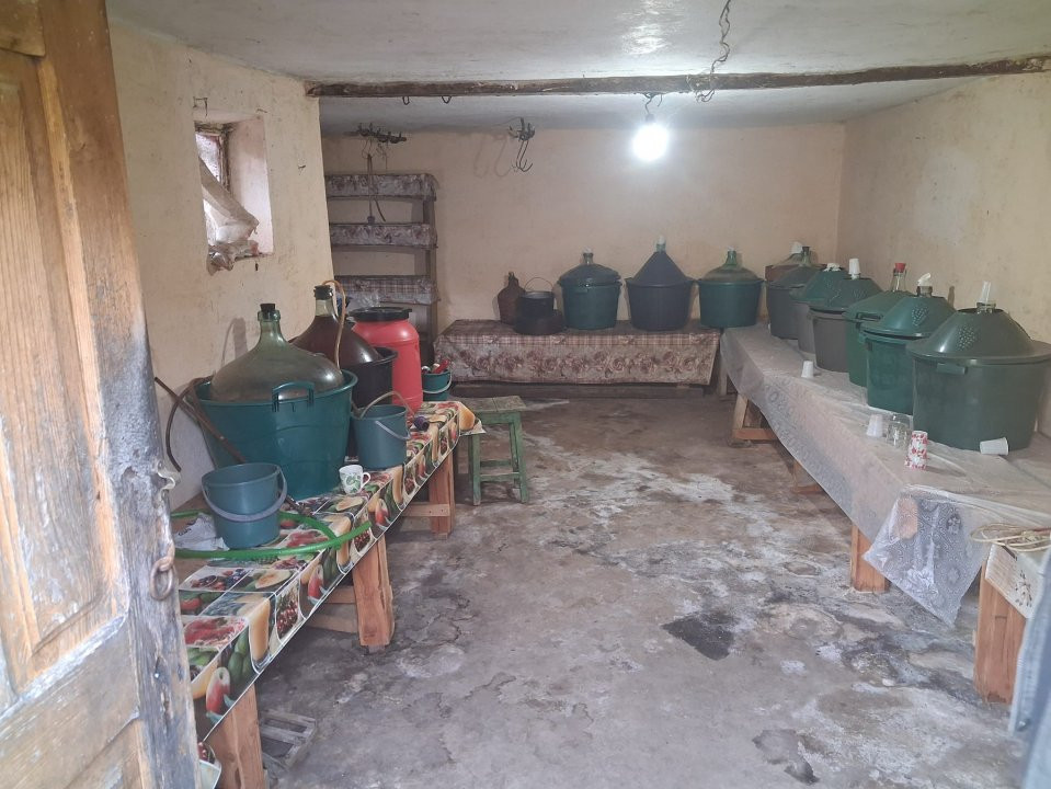 Casă tradițională cu teren generos – Borosteni, Peștișani, jud. Gorj