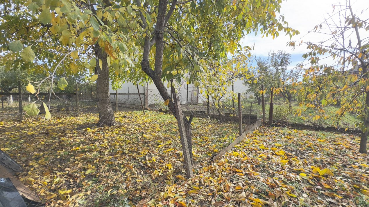 Casă 3 camere, Teren 518 mp Str. Florilor nr.5, Carei -Comision 0% cumpărător