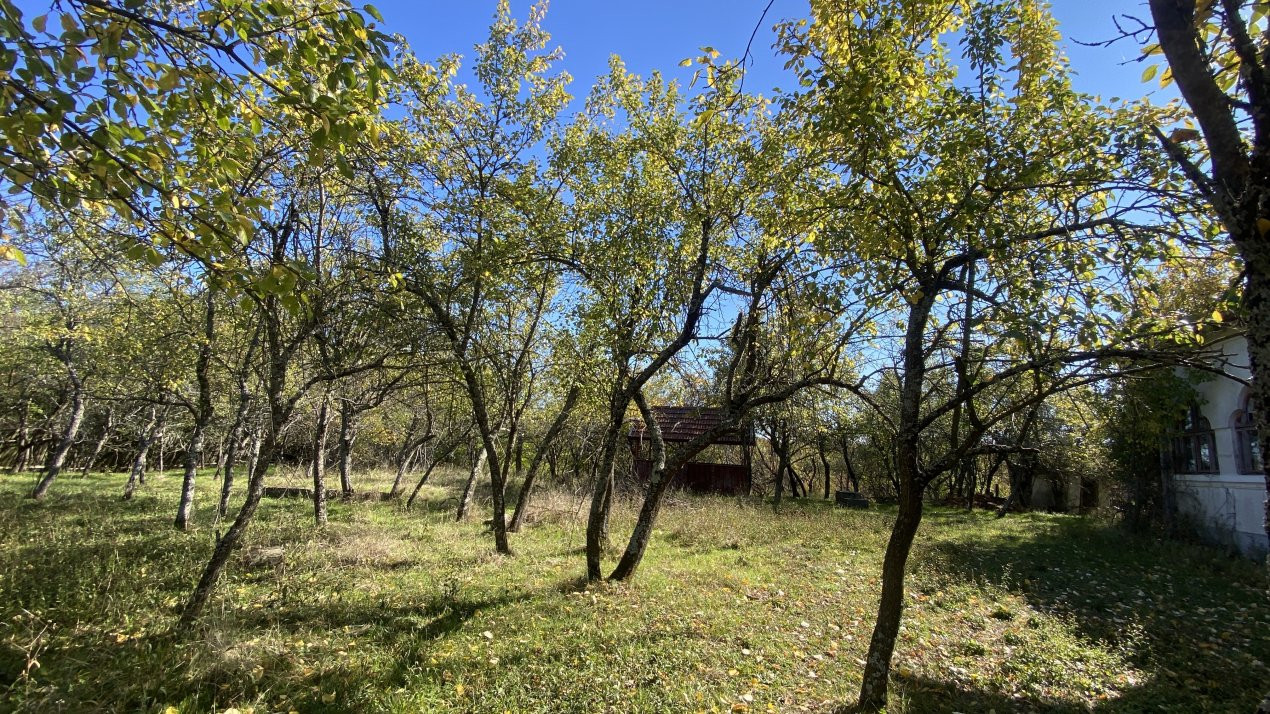 Casa+teren 2713 mp in loc. Babana, jud. Arges. Comision 0%