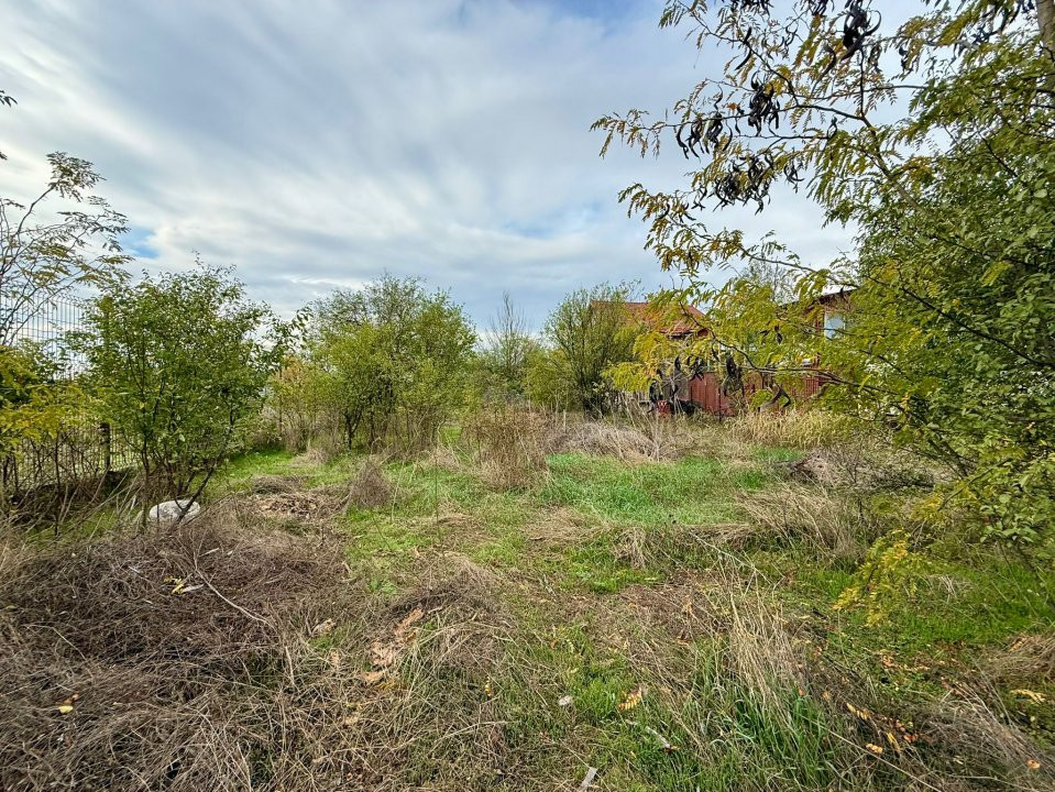 Teren pentru dezvoltare proiect imobiliar Domnesti-Centru