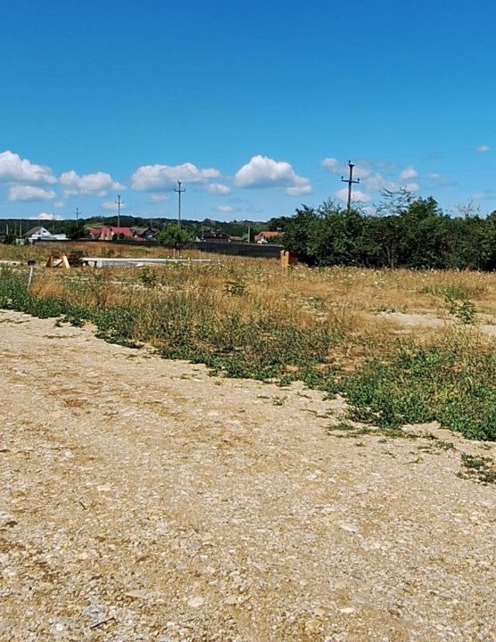 Teren 500 mp intravilan Smeura Stoenari - 4 loturi