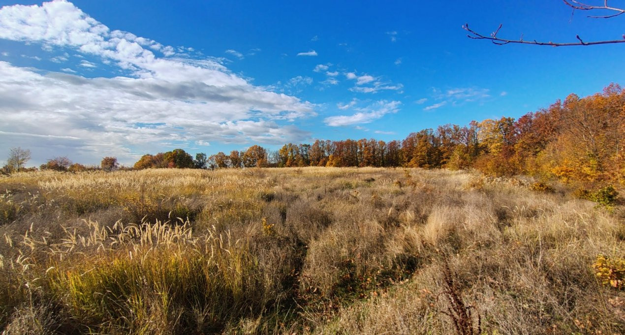 Terenuri intrevilane Comuna Mosoaia