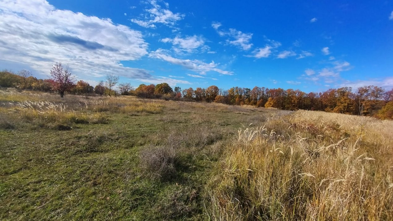 Terenuri intrevilane Comuna Mosoaia