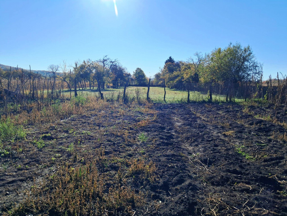 TEREN INTRAVILAN ȘI EXTRAVILAN POLOVRAGI-RACOVIȚA