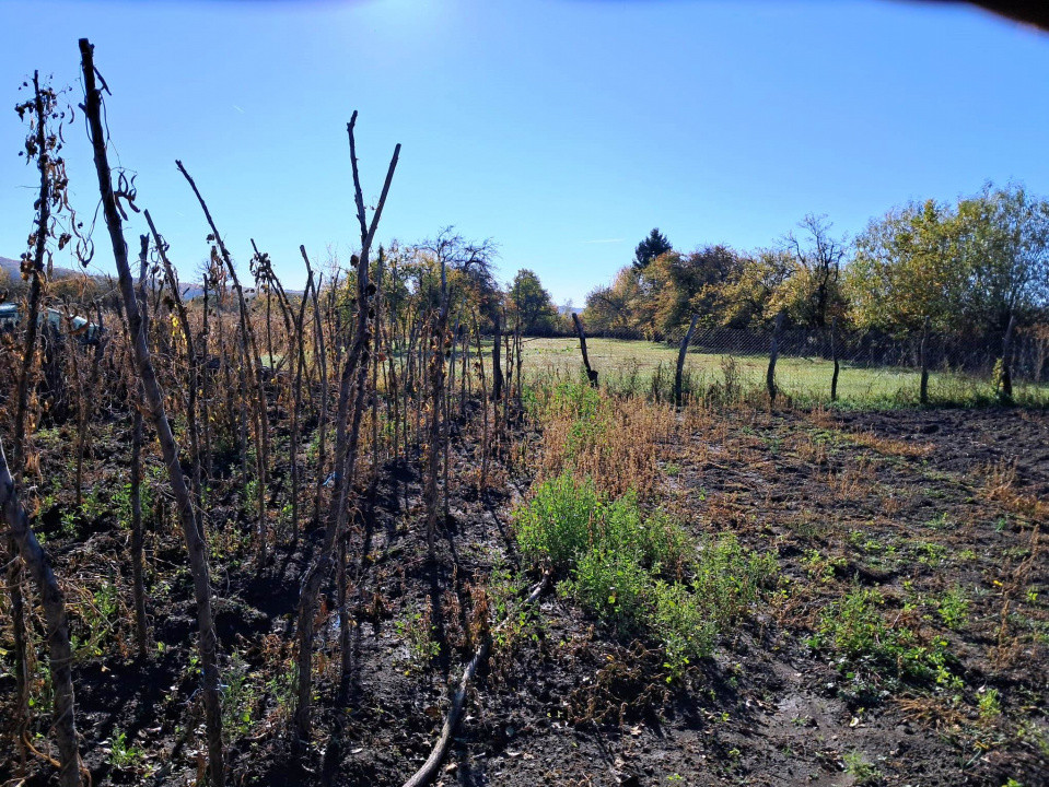 TEREN INTRAVILAN ȘI EXTRAVILAN POLOVRAGI-RACOVIȚA