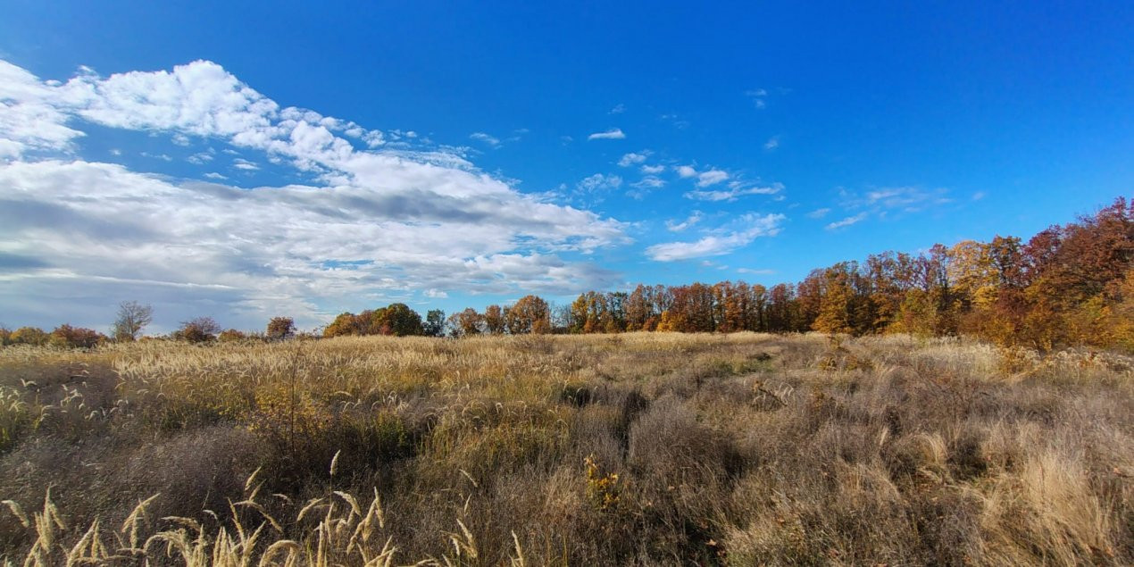 Terenuri intrevilane Comuna Mosoaia