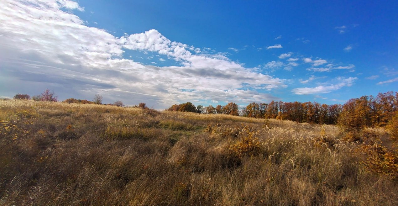 Terenuri intrevilane Comuna Mosoaia