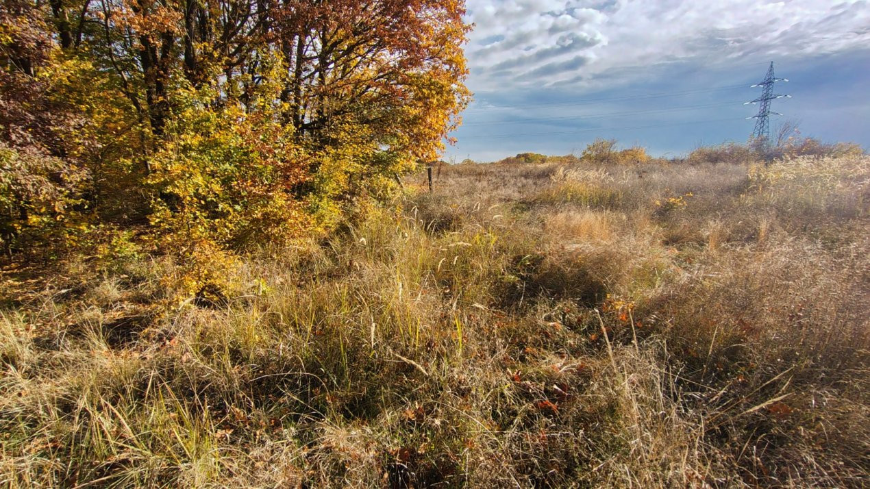 Terenuri intrevilane Comuna Mosoaia