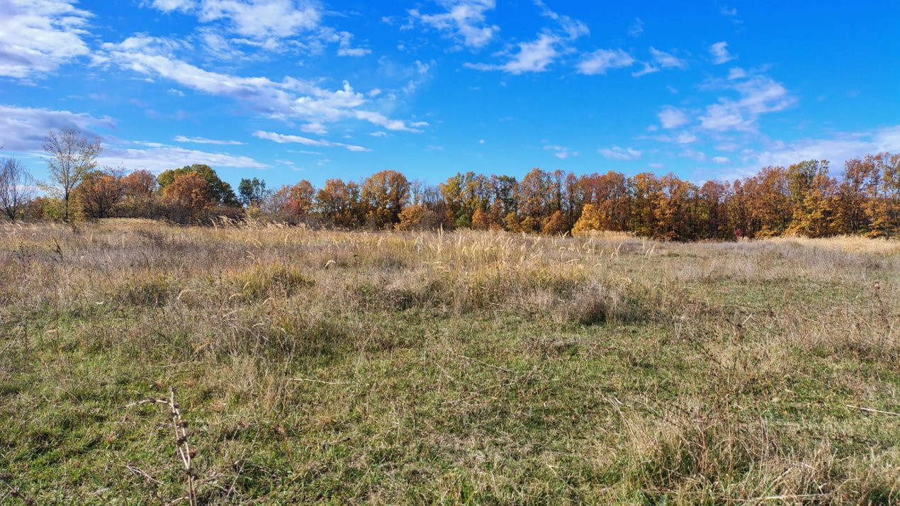 Terenuri intrevilane Comuna Mosoaia