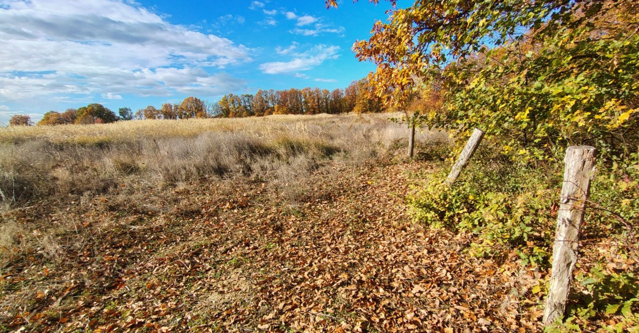 Terenuri intrevilane Comuna Mosoaia