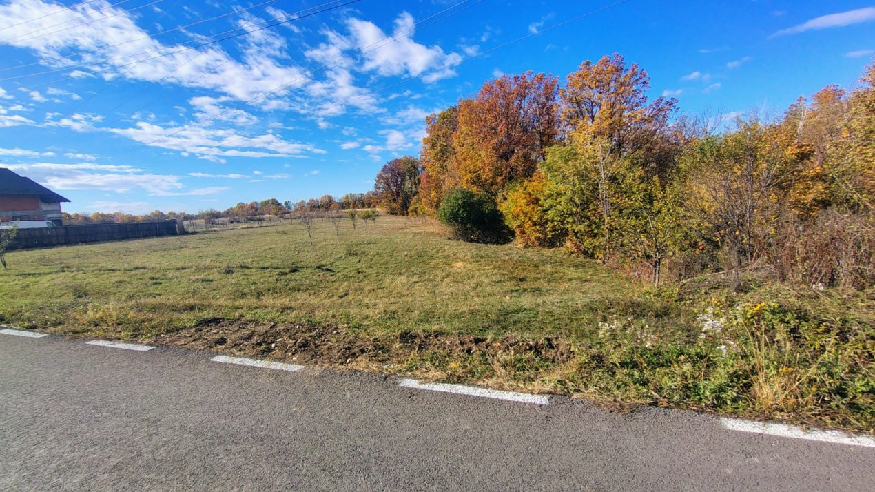 Terenuri intrevilane Comuna Mosoaia