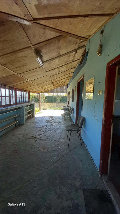 0% COMISION!!! CASA CU LAC IN INIMA PADURII  - DEALU BRADULUI