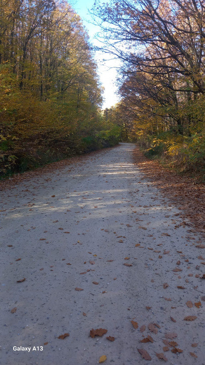 0% COMISION!!! CASA CU LAC IN INIMA PADURII  - DEALU BRADULUI