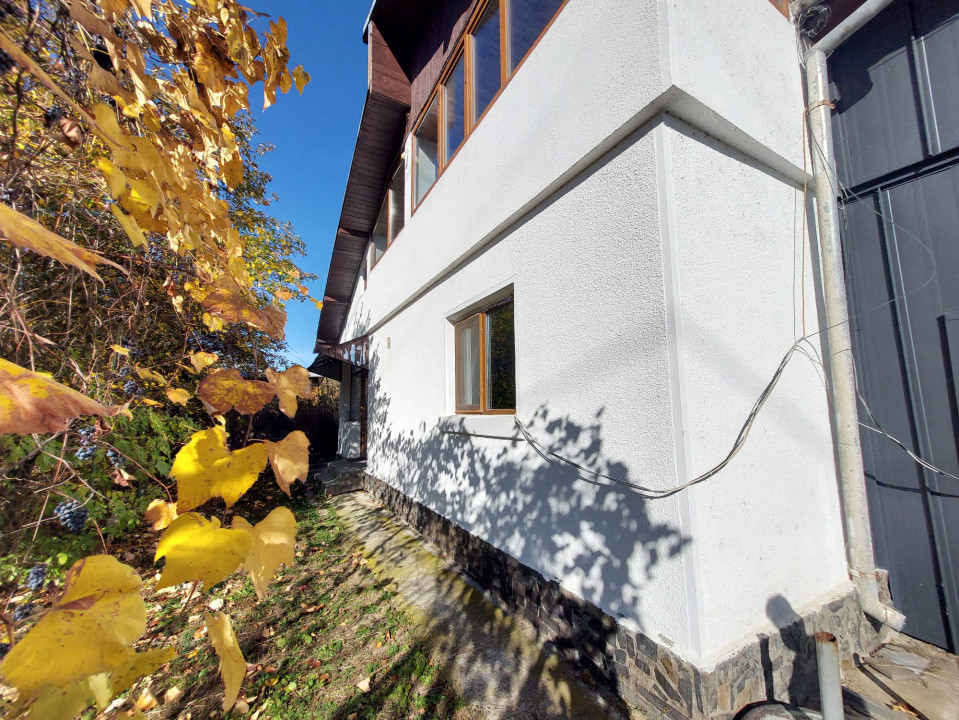 De închiriat: Hale si locuință pe 3 000 mp/ Bascov - Argeș