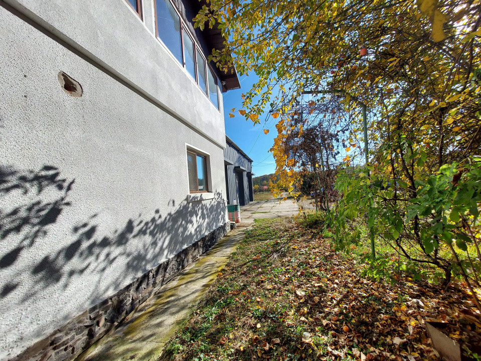 De închiriat: Hale si locuință pe 3 000 mp/ Bascov - Argeș