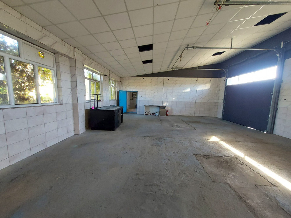 De închiriat: Hale si locuință pe 3 000 mp/ Bascov - Argeș