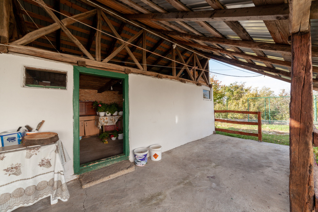 Casa P+M cu teren 2788 mp COCU -RACHITELE ARGES