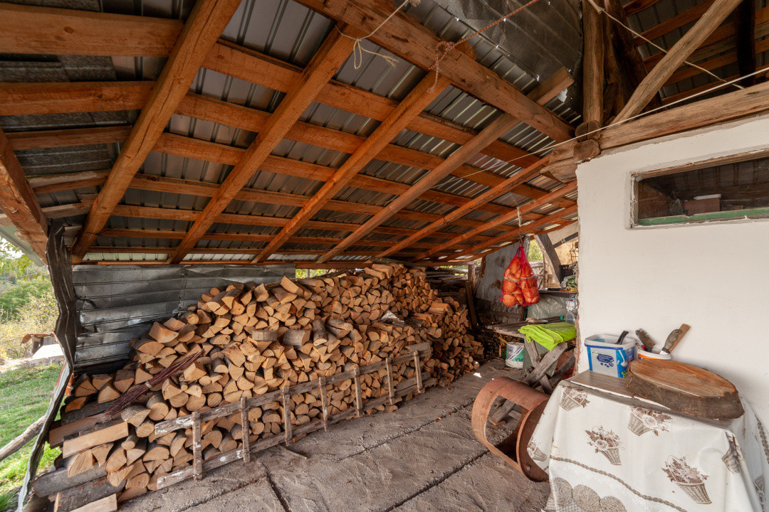 Casa P+M cu teren 2788 mp COCU -RACHITELE ARGES