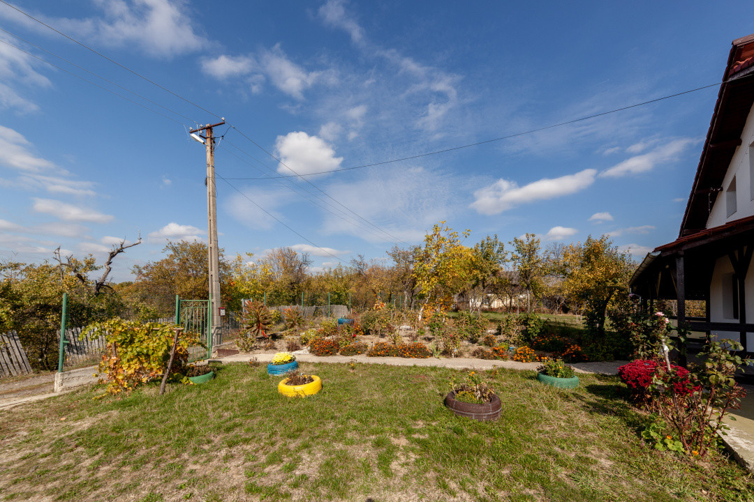 Casa P+M cu teren 2788 mp COCU -RACHITELE ARGES