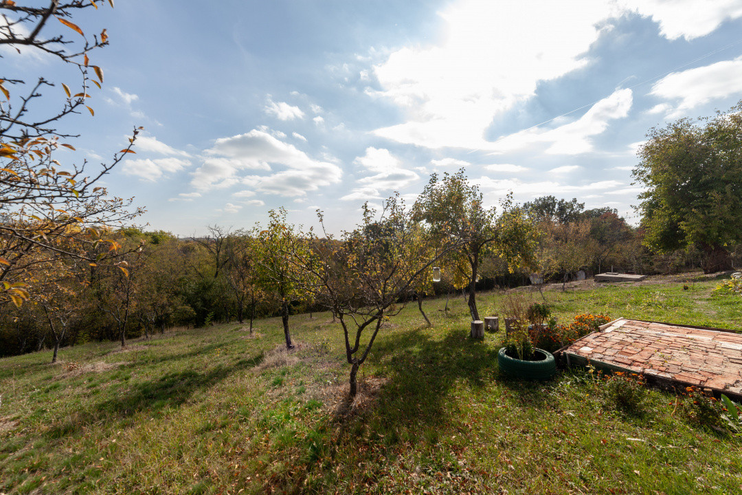 Casa P+M cu teren 2788 mp COCU -RACHITELE ARGES