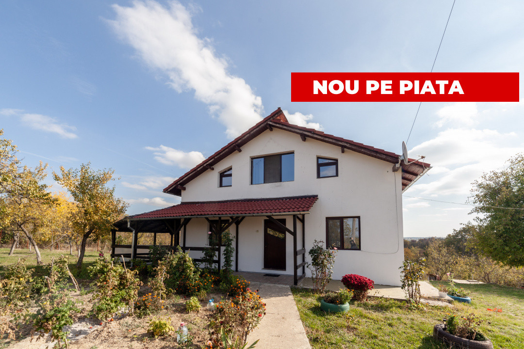 Casa P+M cu teren 2788 mp COCU -RACHITELE ARGES