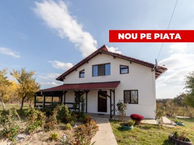 Casa P+M cu teren 2788 mp COCU -RACHITELE ARGES