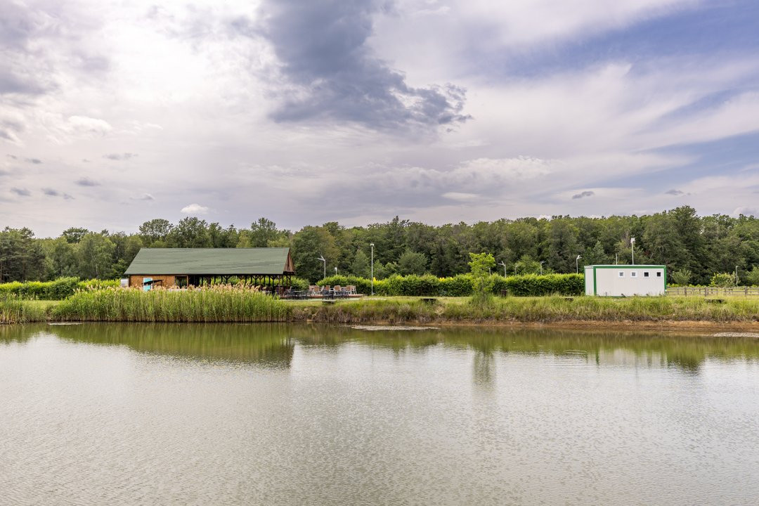 Afacere multifuncțională cu venituri imediate si potențial de extindere