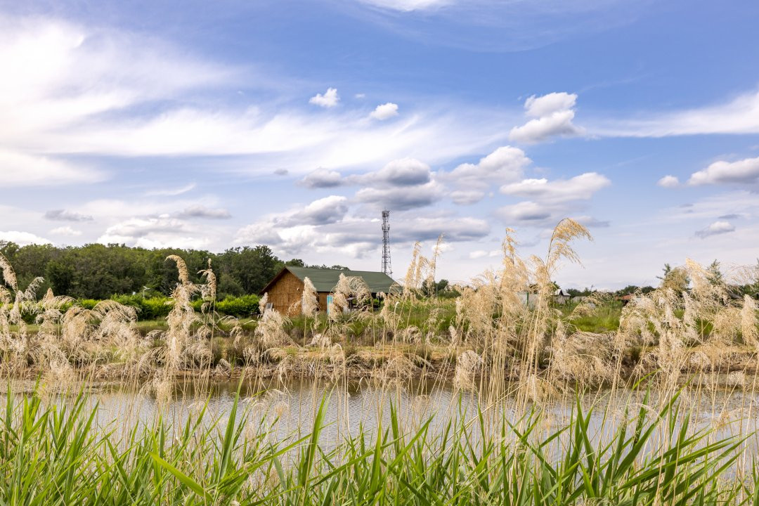 Afacere multifuncțională cu venituri imediate si potențial de extindere