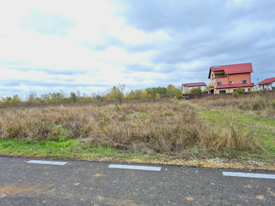 Terenuri de construcție in Domnești cu toate utilitățile disponibile