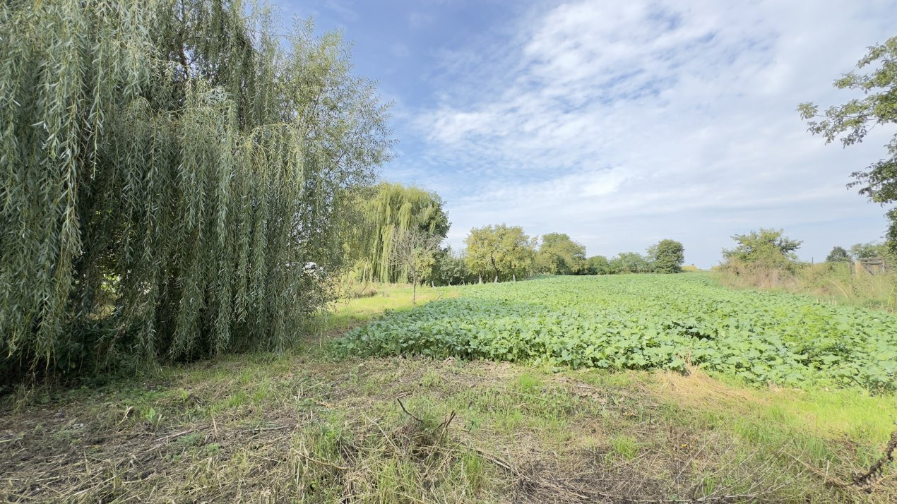 Casă 3 camere, Teren 1875 mp Loc. Tiream Jud. Satu Mare-Comision 0% cumpărător