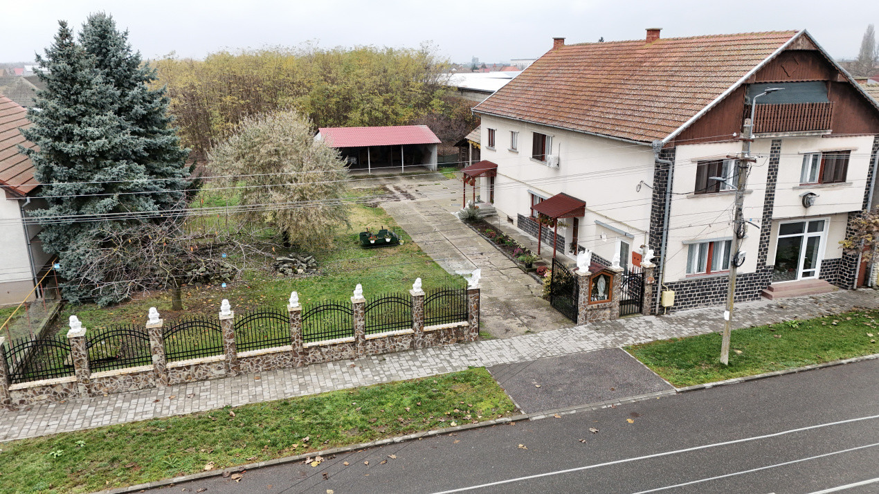 Casă 7 camere cu Teren 4.620 mp | Potențial pentru rezidență sau afacere | Carei