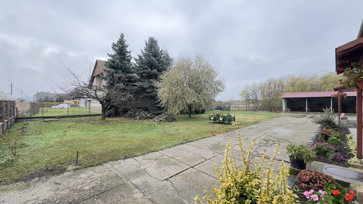 Casă 7 camere cu Teren 4.620 mp | Potențial pentru rezidență sau afacere | Carei