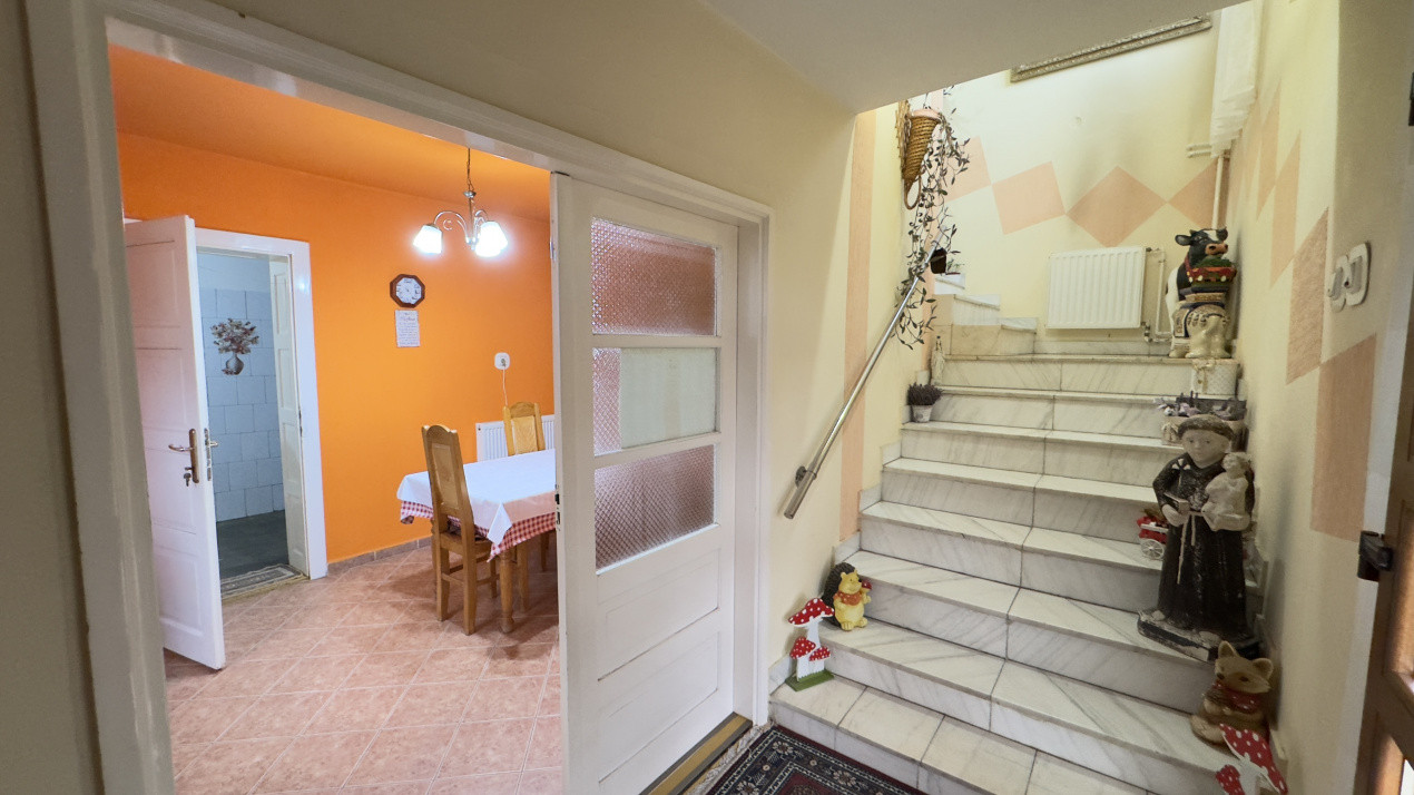 Casă 7 camere cu Teren 4.620 mp | Potențial pentru rezidență sau afacere | Carei