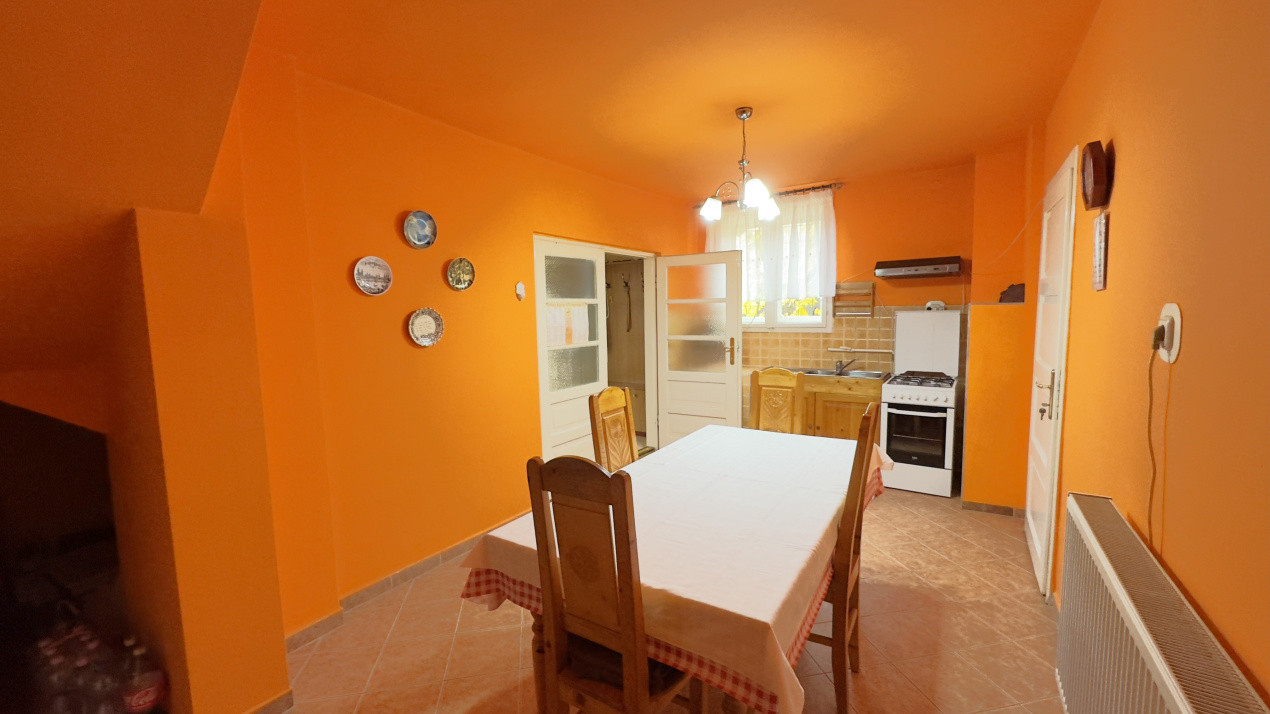 Casă 7 camere cu Teren 4.620 mp | Potențial pentru rezidență sau afacere | Carei