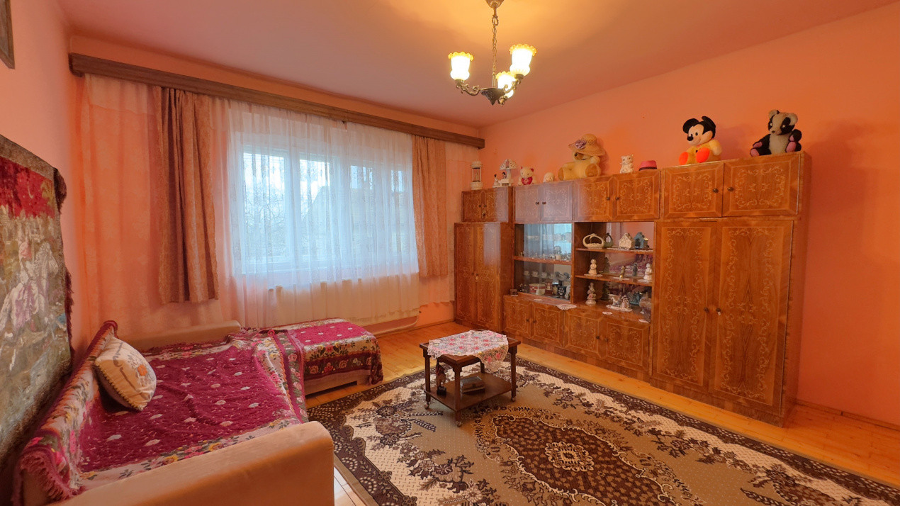 Casă 7 camere cu Teren 4.620 mp | Potențial pentru rezidență sau afacere | Carei