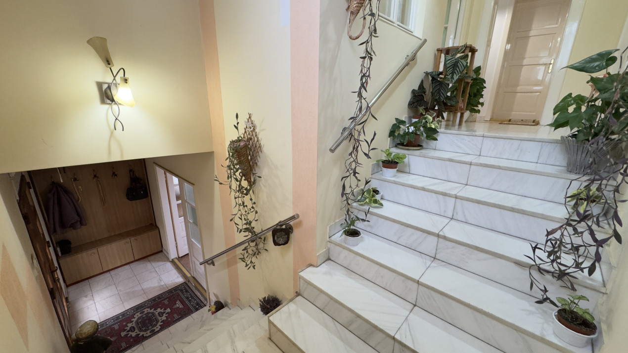 Casă 7 camere cu Teren 4.620 mp | Potențial pentru rezidență sau afacere | Carei