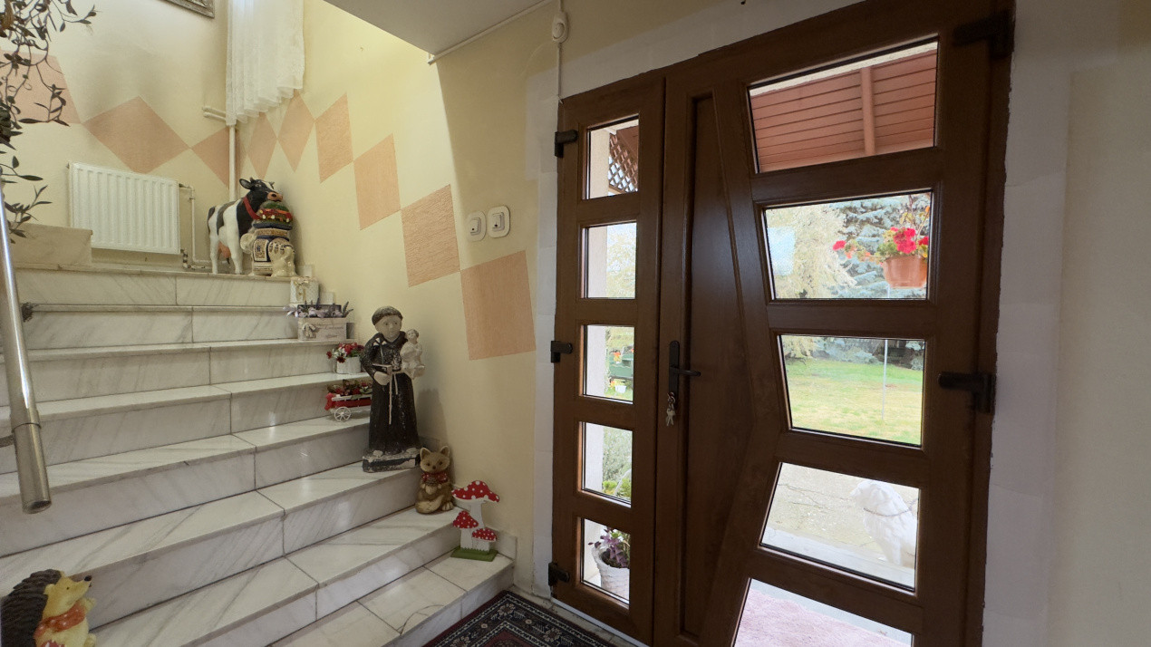 Casă 7 camere cu Teren 4.620 mp | Potențial pentru rezidență sau afacere | Carei