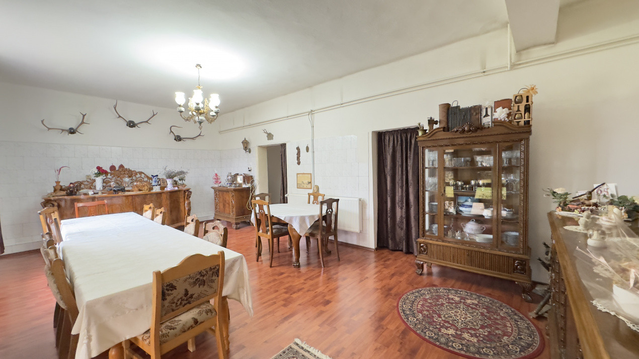 Casă 7 camere cu Teren 4.620 mp | Potențial pentru rezidență sau afacere | Carei