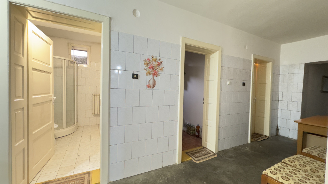 Casă 7 camere cu Teren 4.620 mp | Potențial pentru rezidență sau afacere | Carei