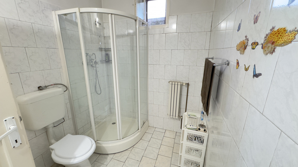 Casă 7 camere cu Teren 4.620 mp | Potențial pentru rezidență sau afacere | Carei