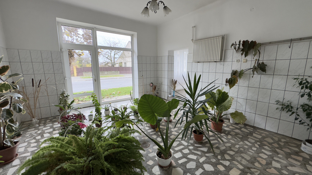 Casă 7 camere cu Teren 4.620 mp | Potențial pentru rezidență sau afacere | Carei