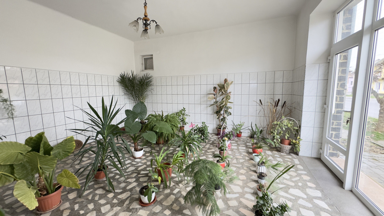 Casă 7 camere cu Teren 4.620 mp | Potențial pentru rezidență sau afacere | Carei