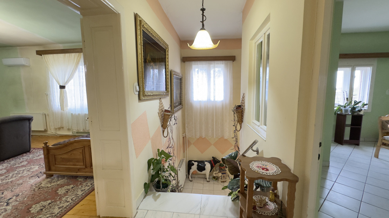 Casă 7 camere cu Teren 4.620 mp | Potențial pentru rezidență sau afacere | Carei