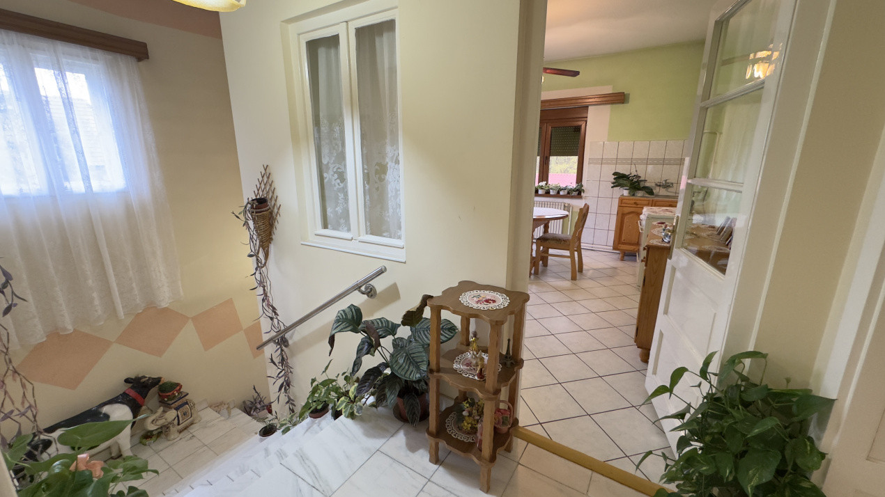 Casă 7 camere cu Teren 4.620 mp | Potențial pentru rezidență sau afacere | Carei