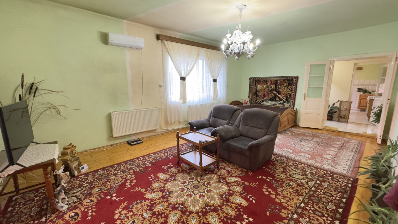 Casă 7 camere cu Teren 4.620 mp | Potențial pentru rezidență sau afacere | Carei