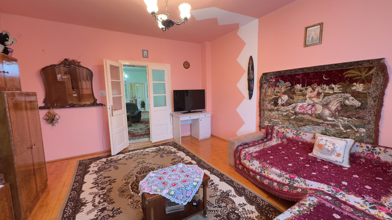 Casă 7 camere cu Teren 4.620 mp | Potențial pentru rezidență sau afacere | Carei