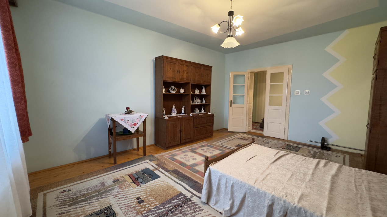 Casă 7 camere cu Teren 4.620 mp | Potențial pentru rezidență sau afacere | Carei